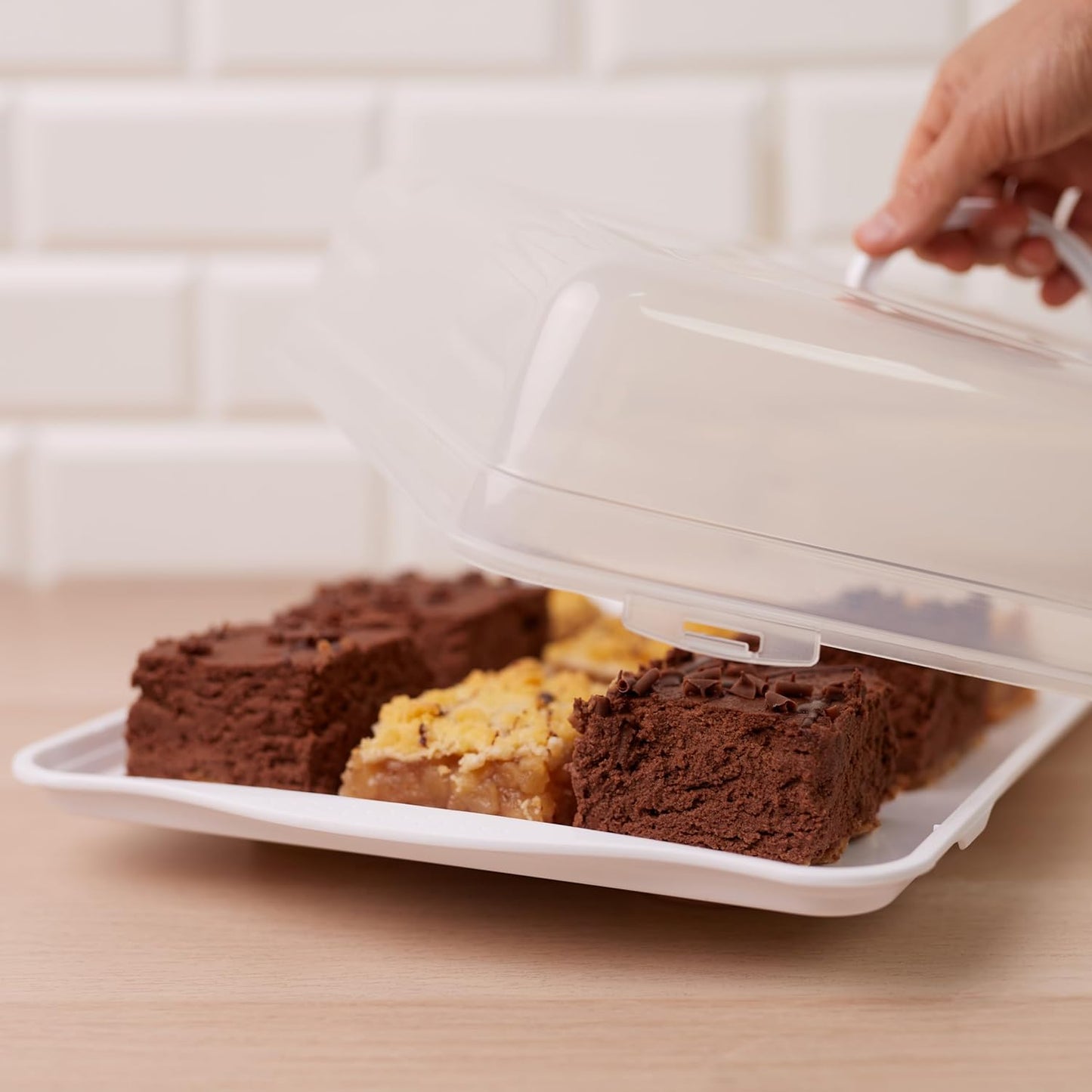 Hastic Kuchen Transportbox Rechteckig 46x29x11 cm