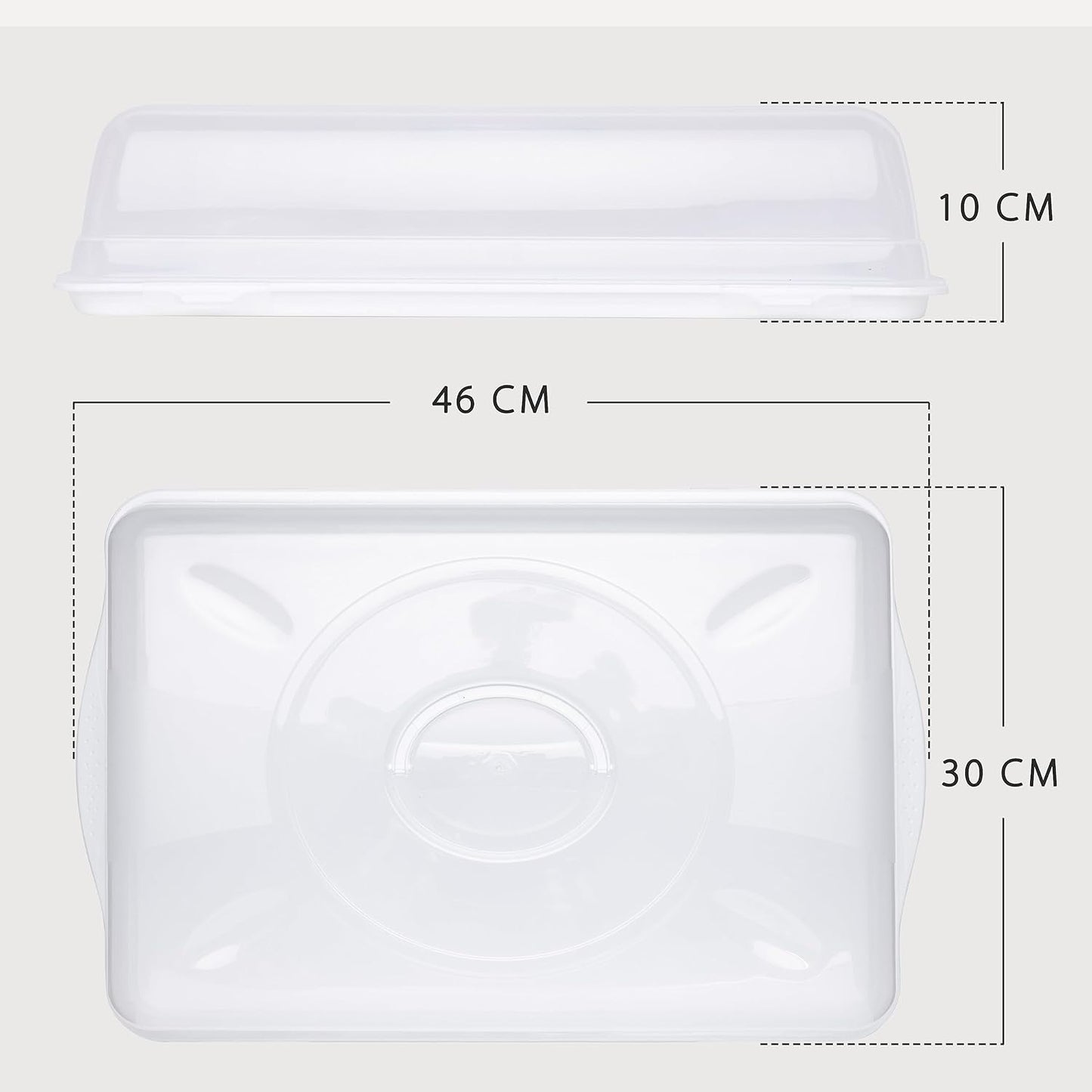 Hastic Kuchen Transportbox Rechteckig 46x29x11 cm