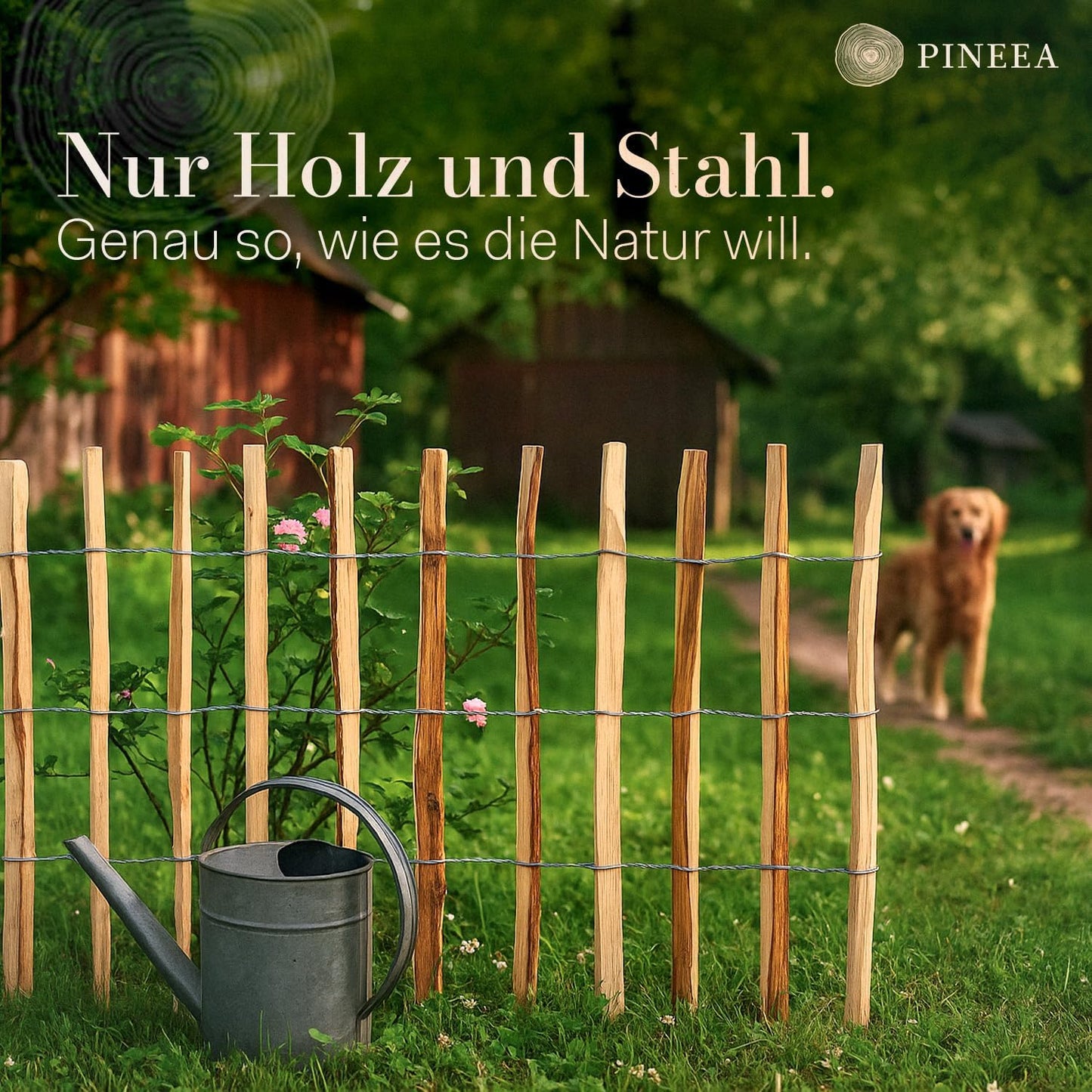 PINEEA Staketenzaun aus Haselnuss - 5M Lang – Wetterfester Holzzaun für Garten & Deko