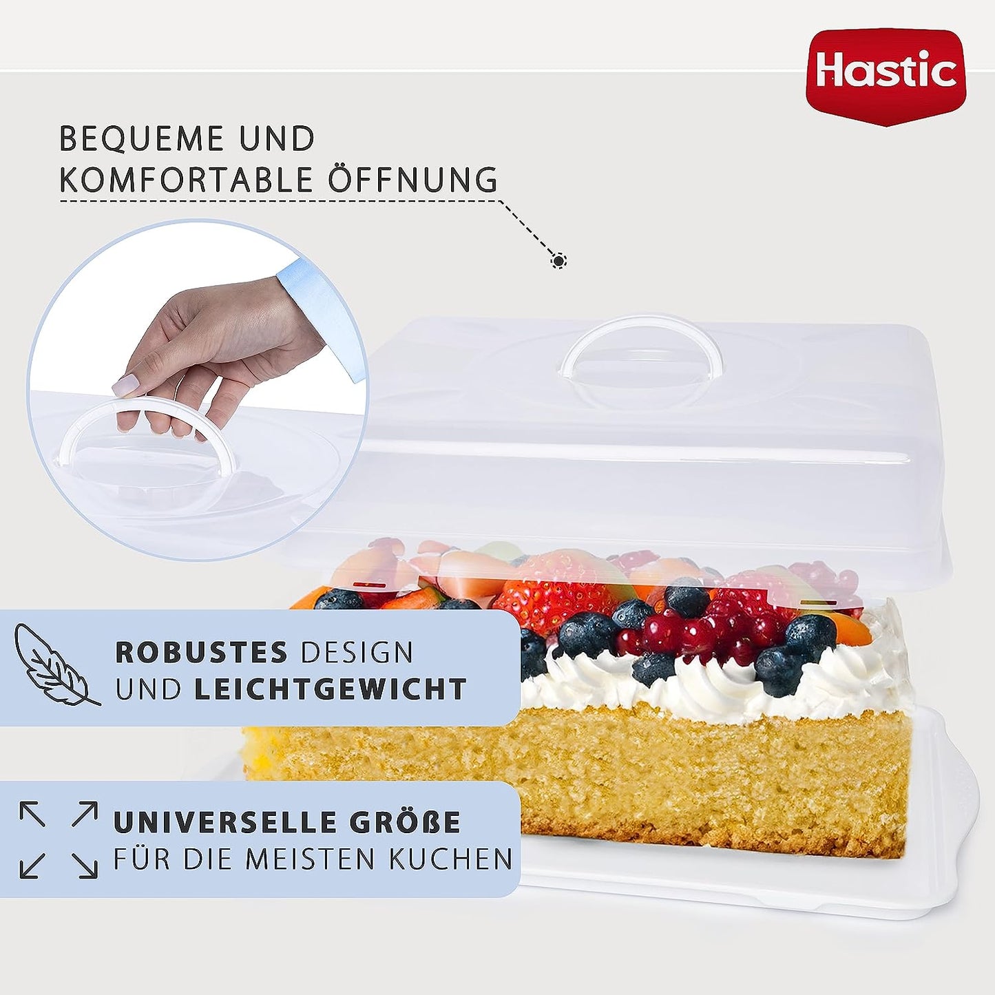 Hastic Kuchen Transportbox Rechteckig 46x29x11 cm