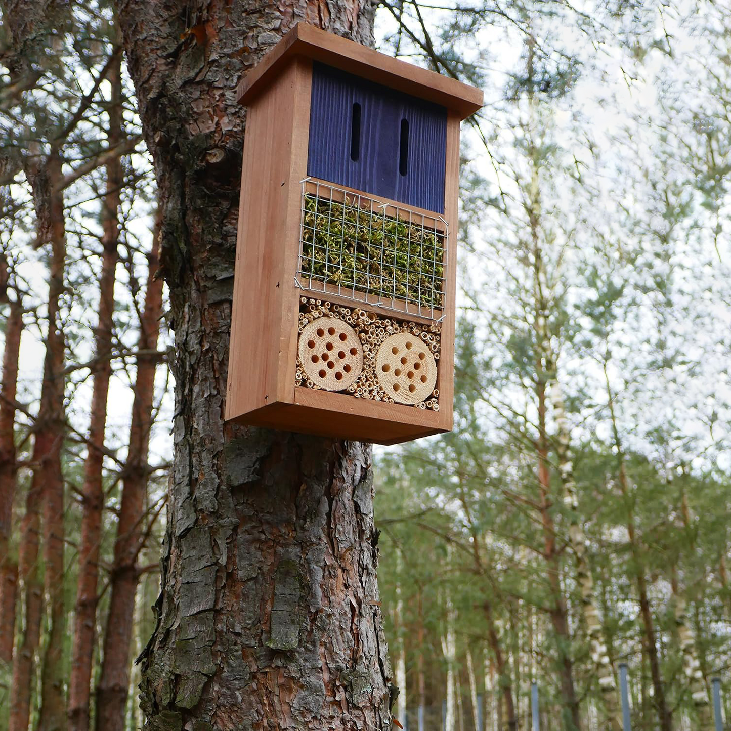 CARE FOR NATURE Insektenhotel Bausatz Massivholz