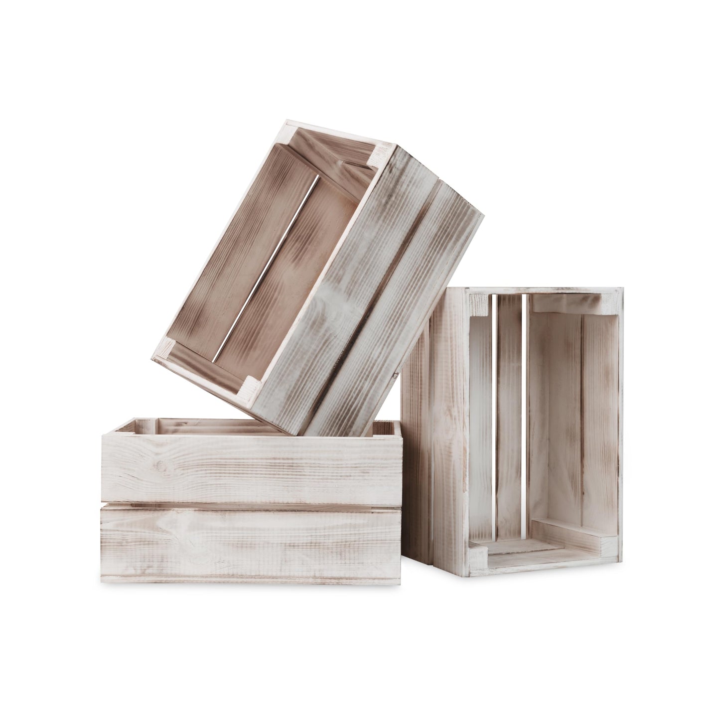 Zebra - 3 Boxen
