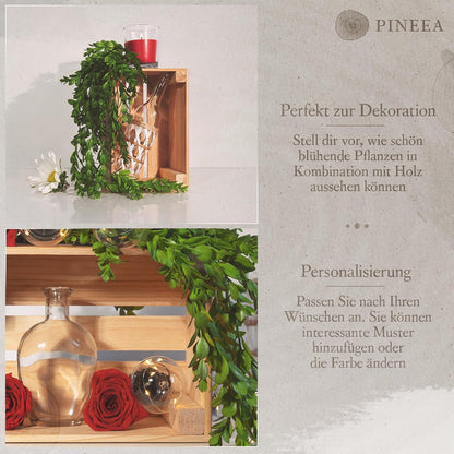 PINEEA Vintage Obstkiste Holz 30x20x15 cm - Multifunktionale Holzkiste