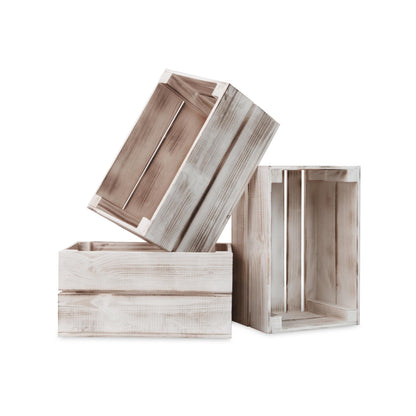 Zebra - 3 Boxen